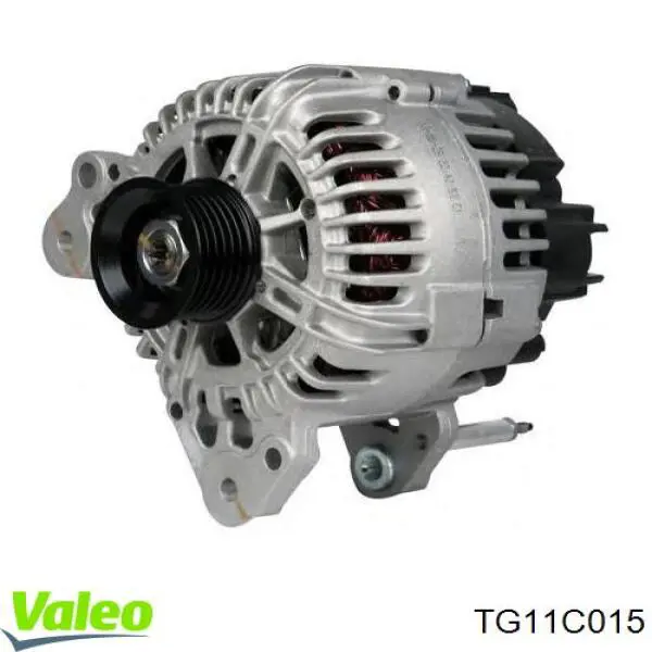 TG11C015 VALEO alternator