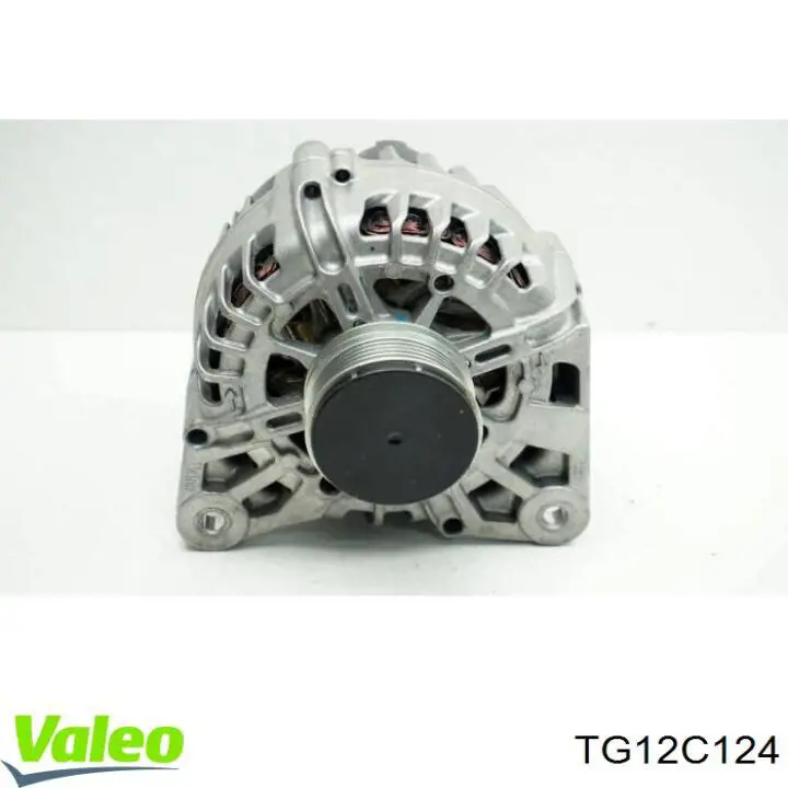 TG12C124 VALEO Alternator
