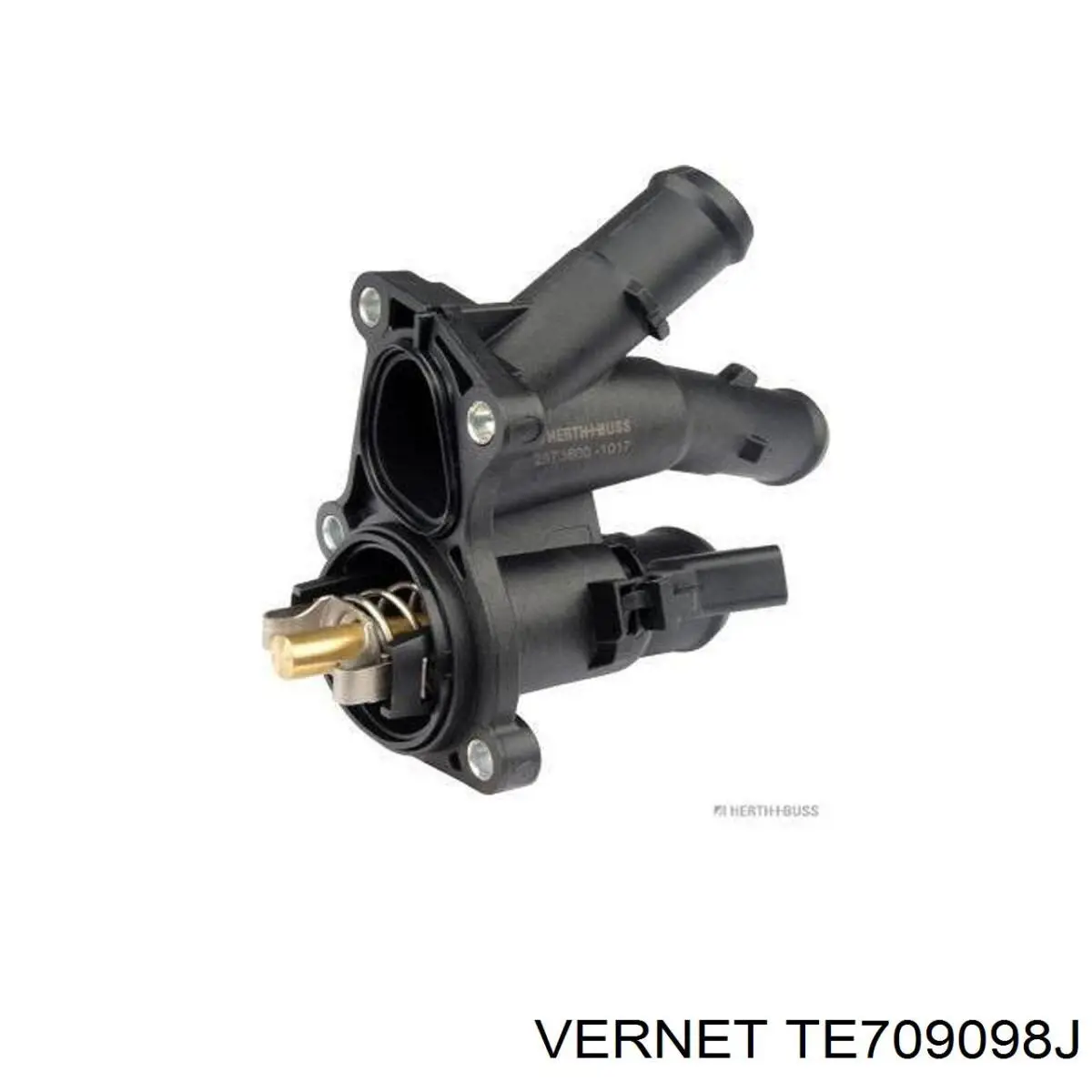 Do koszyka TE709098J Vernet Termostat