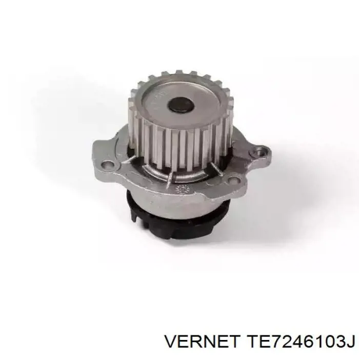 Termostat Vernet TE7246103J cena, od 42,03 USD