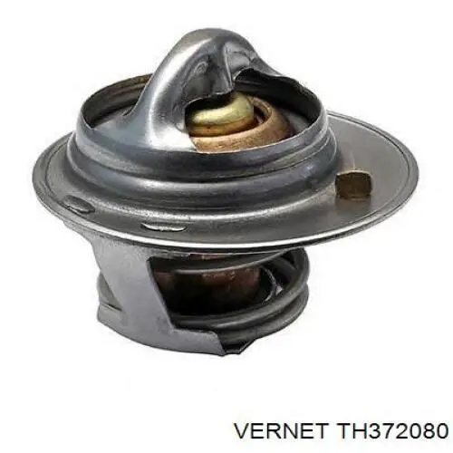 Do koszyka TH372080 Vernet Termostat