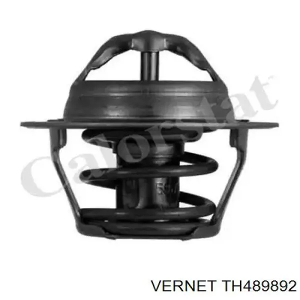 TH489892 Vernet Termostat