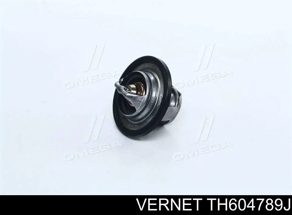 Termostat Vernet TH604789J cena, od 15,49 USD