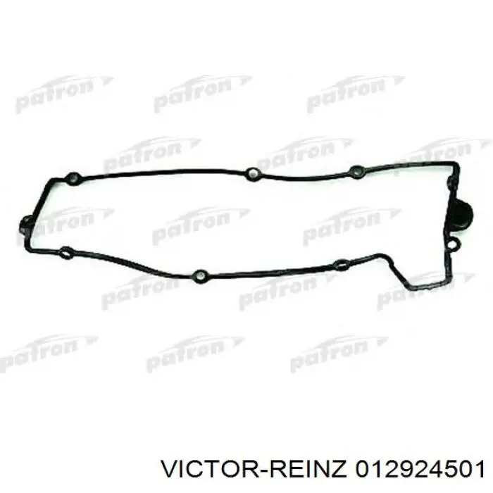 Do koszyka 012924501 Victor Reinz Zestaw uszczelek silnika pełny