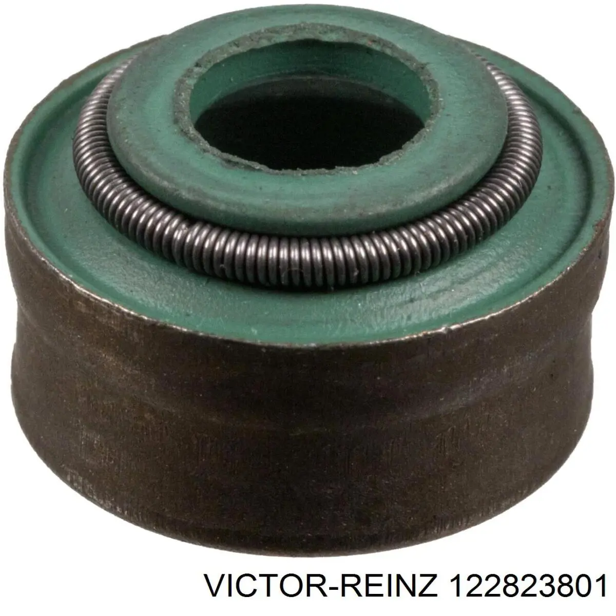 122823801 Victor Reinz Uszczelniacz zaworu dolotowego/wylotowego, zestaw na silnik