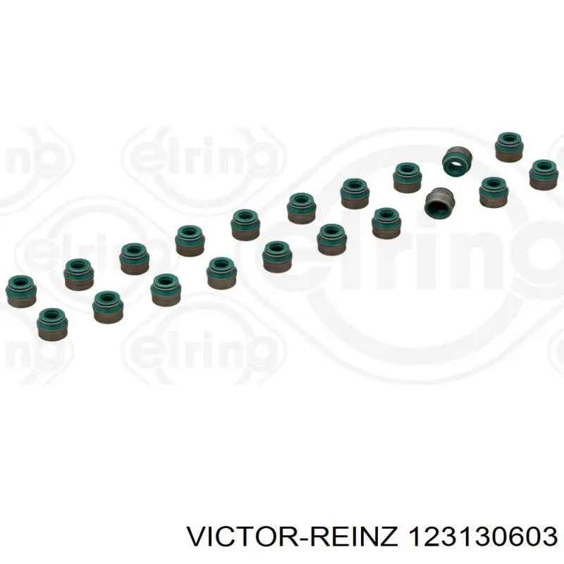 Uszczelniacz zaworu dolotowego/wylotowego, zestaw na silnik Victor Reinz 123130603 cena, od 19,79 USD