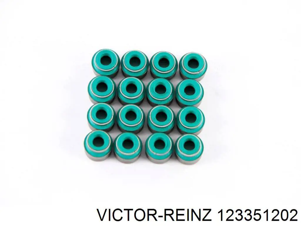 123351202 Victor Reinz Uszczelniacz zaworu dolotowego/wylotowego, zestaw na silnik