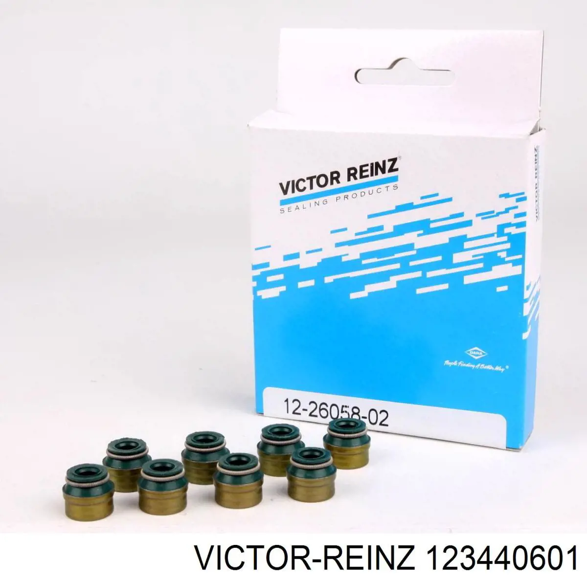 123440601 Victor Reinz Uszczelniacz zaworu dolotowego/wylotowego, zestaw na silnik