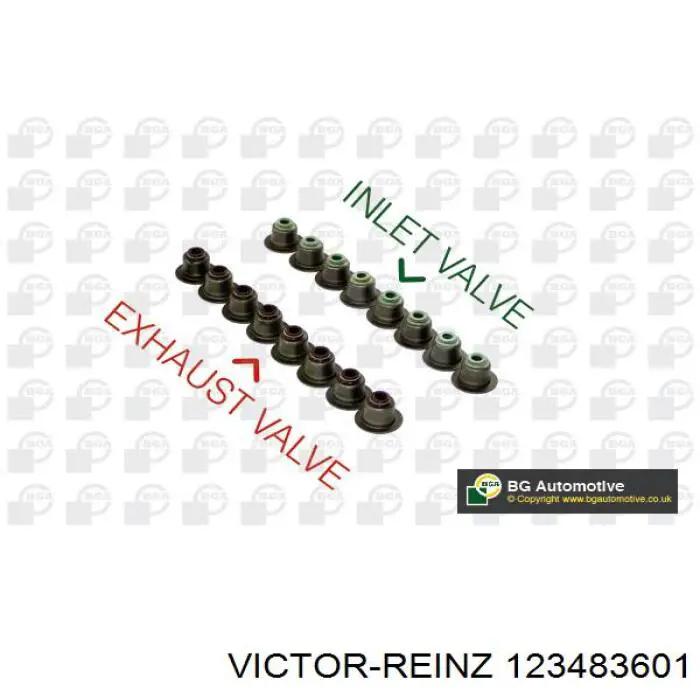 123483601 Victor Reinz uszczelniacz zaworu dolotowego/wylotowego, zestaw na silnik