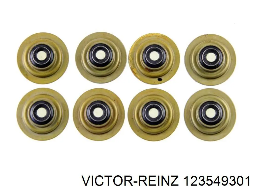 123549301 Victor Reinz Uszczelniacz zaworu dolotowego/wylotowego, zestaw na silnik