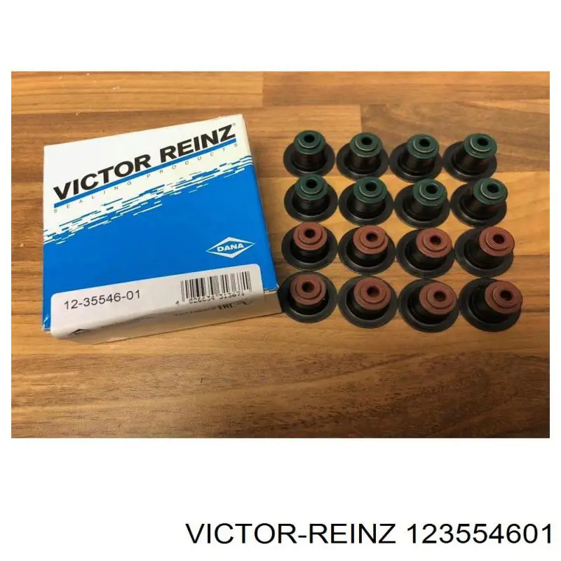 123554601 Victor Reinz Uszczelniacz zaworu dolotowego/wylotowego, zestaw na silnik