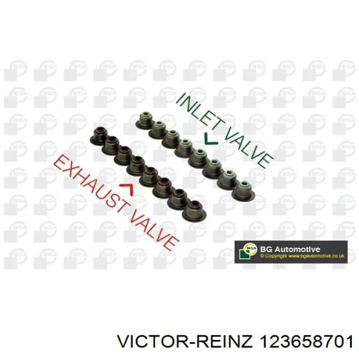 Uszczelniacz zaworu dolotowego/wylotowego, zestaw na silnik Victor Reinz 123658701 cena, od 23,38 USD