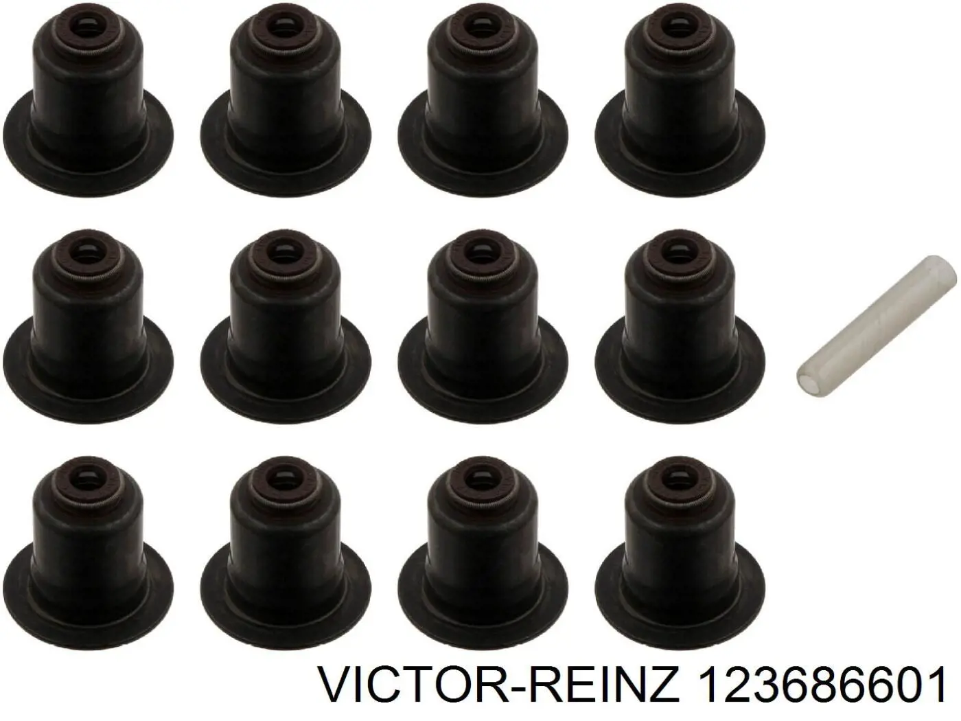 123686601 Victor Reinz Uszczelniacz zaworu dolotowego, zestaw