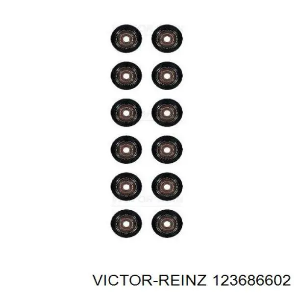 123686602 Victor Reinz Uszczelniacz zaworu dolotowego/wylotowego, zestaw na silnik