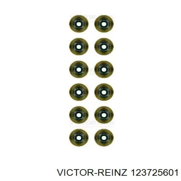 123725601 Victor Reinz Uszczelniacz zaworu wylotowego, zestaw