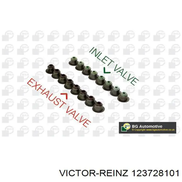 Uszczelniacz zaworu dolotowego/wylotowego, zestaw na silnik Victor Reinz 123728101 cena, od 31,23 USD