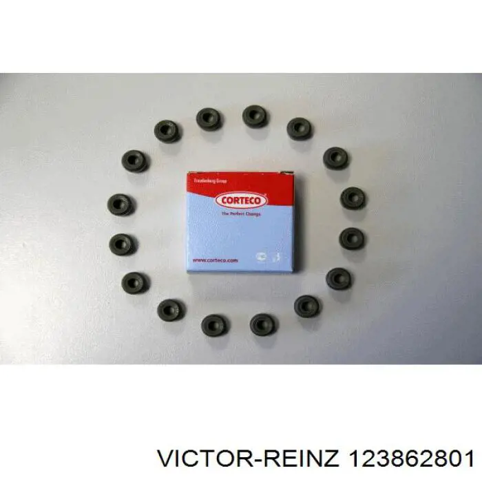 123862801 Victor Reinz Uszczelniacz zaworu dolotowego/wylotowego, zestaw na silnik