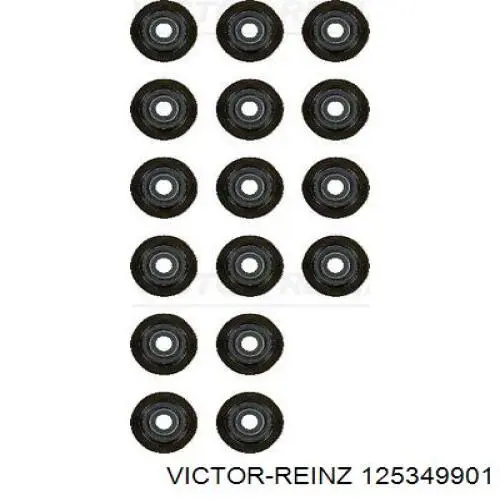 125349901 Victor Reinz Uszczelniacz zaworu dolotowego/wylotowego, zestaw na silnik