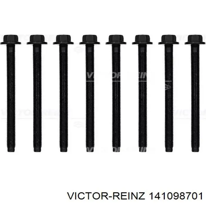 141098701 Victor Reinz Śruba głowicy cylindrów