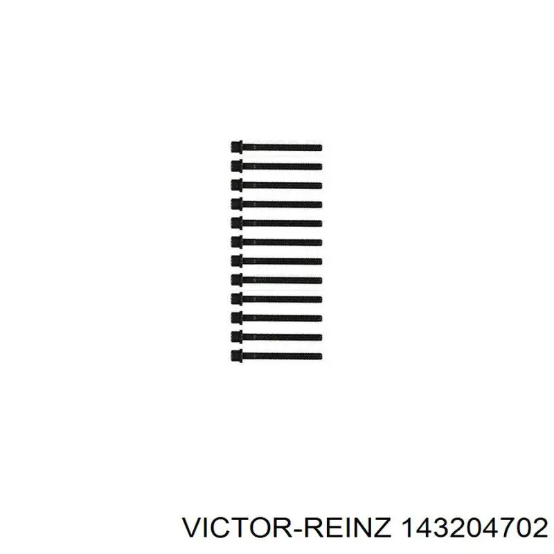 Do koszyka 143204702 Victor Reinz Śruba głowicy cylindrów