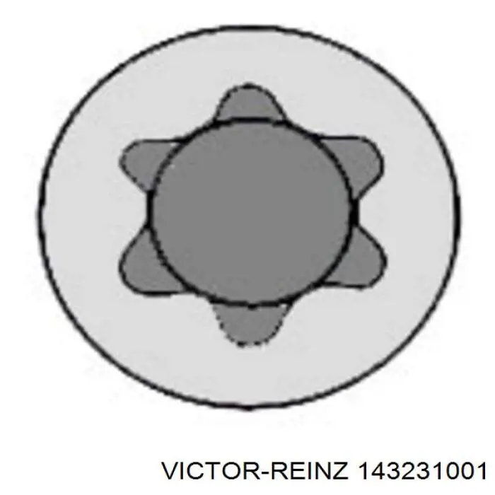 14-32310-01 Victor Reinz śruba głowicy cylindrów