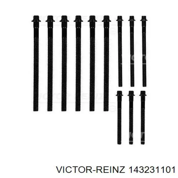 Do koszyka 143231101 Victor Reinz Śruba głowicy cylindrów