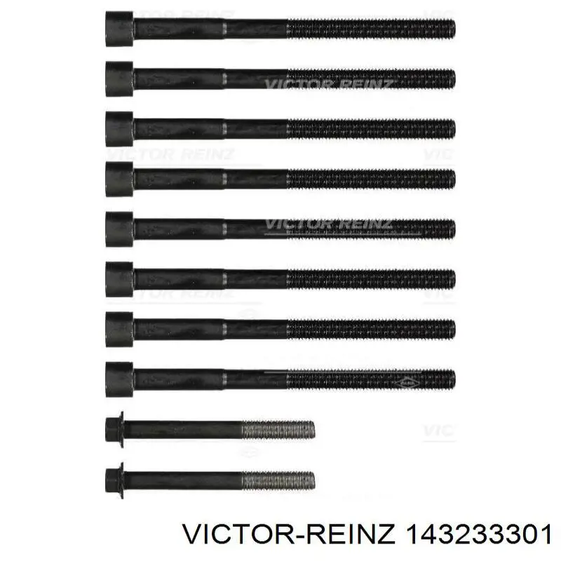 143233301 Victor Reinz Śruba głowicy cylindrów