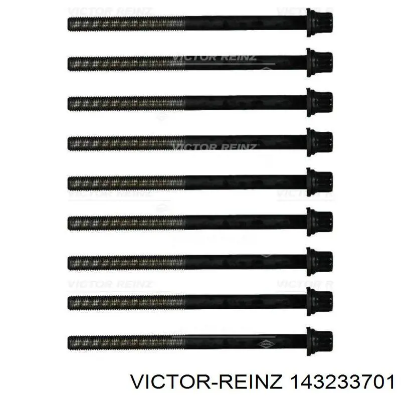 Śruba głowicy cylindrów Victor Reinz 143233701 cena, od 38,96 USD