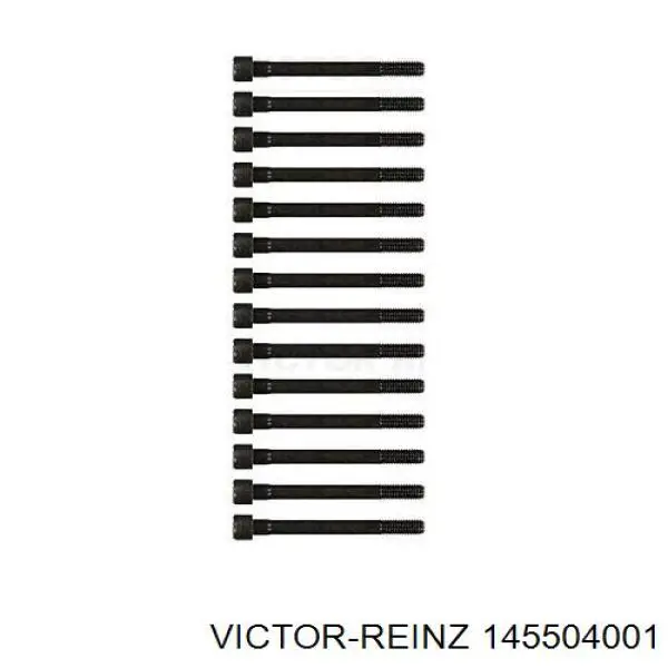 14-55040-01 Victor Reinz śruba głowicy cylindrów