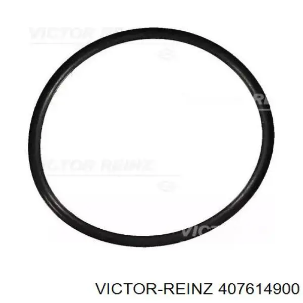407614900 Victor Reinz Uszczelka pompy próżniowej
