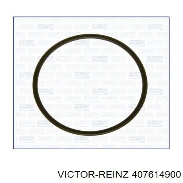 407614900 Victor Reinz Uszczelka pompy próżniowej
