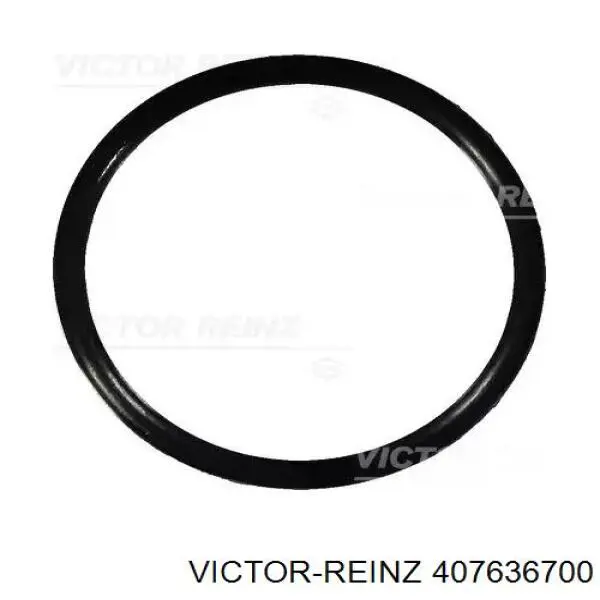 407636700 Victor Reinz Uszczelka termostatu