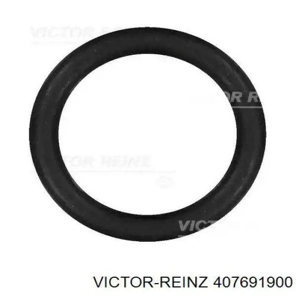 Uszczelka kolektora ssącego Victor Reinz 407691900 cena, od 3,24 USD