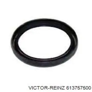 Do koszyka 613757500 Victor Reinz Uszczelka głowicy cylindrów