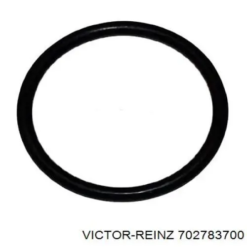 702783700 Victor Reinz Uszczelka termostatu