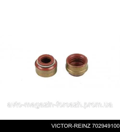 702949100 Victor Reinz Uszczelniacz zaworu dolotowego/wylotowego