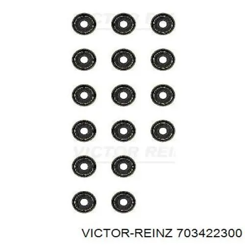 Uszczelniacz zaworu dolotowego/wylotowego Victor Reinz 703422300 cena, od 1,77 USD