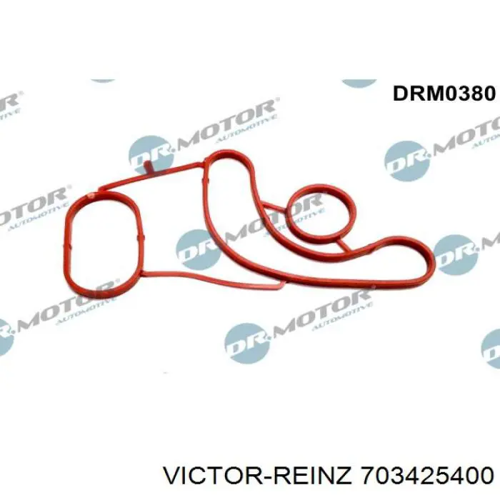 Uszczelka chłodnicy oleju Victor Reinz 703425400