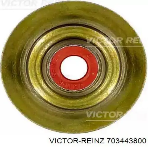 703443800 Victor Reinz Uszczelniacz zaworu dolotowego/wylotowego