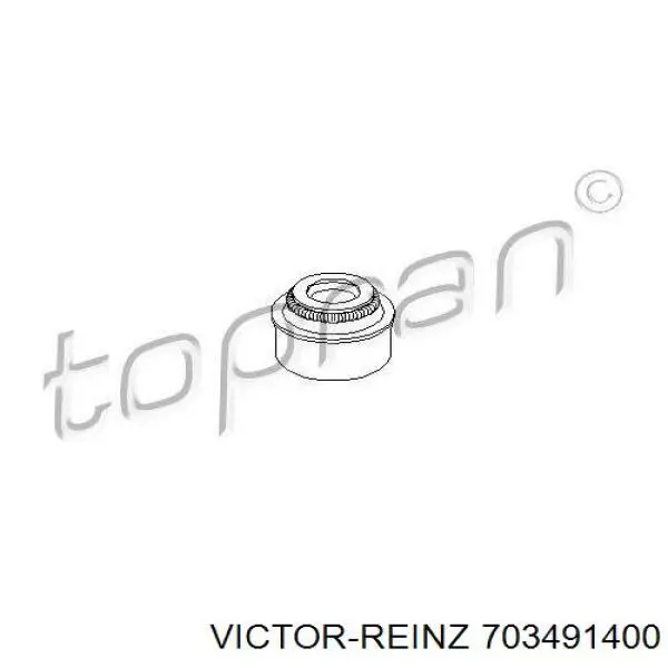 Uszczelniacz zaworu dolotowego/wylotowego Victor Reinz 703491400 cena, od 1,98 USD