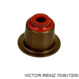 703517200 Victor Reinz Uszczelniacz zaworu dolotowego/wylotowego