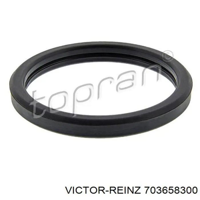 Uszczelka termostatu Victor Reinz 703658300 cena, od 4,93 USD