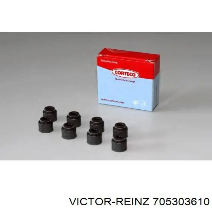 70-53036-10 Victor Reinz uszczelniacz zaworu dolotowego/wylotowego