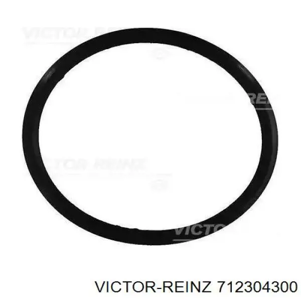 Do koszyka 712304300 Victor Reinz Uszczelka pokrywy zaworowej silnika