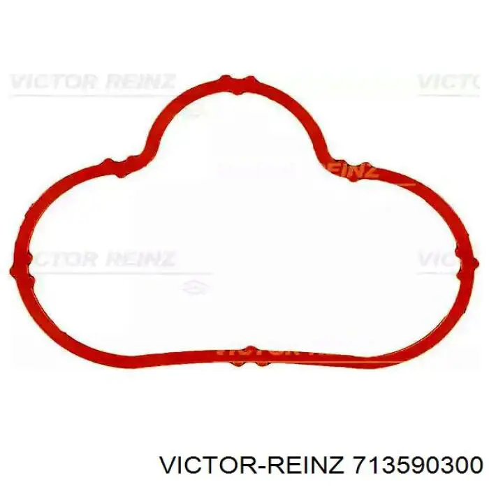 71-35903-00 Victor Reinz uszczelka kolektora ssącego