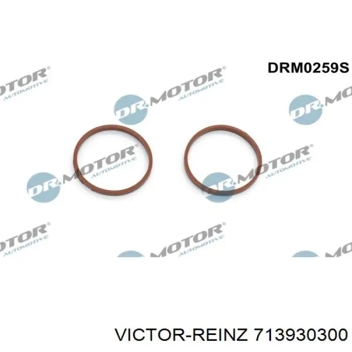 Do koszyka 713930300 Victor Reinz Uszczelka kolektora ssącego