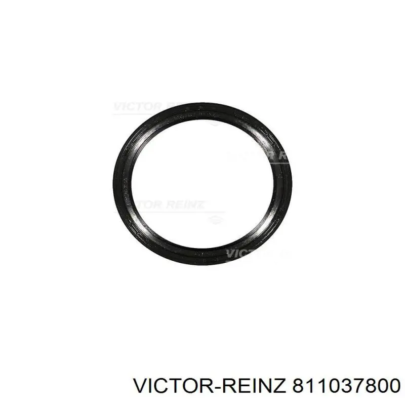 Do koszyka 811037800 Victor Reinz Uszczelniacz wału korbowego przedni