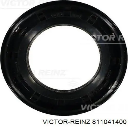  Victor Reinz 811041400