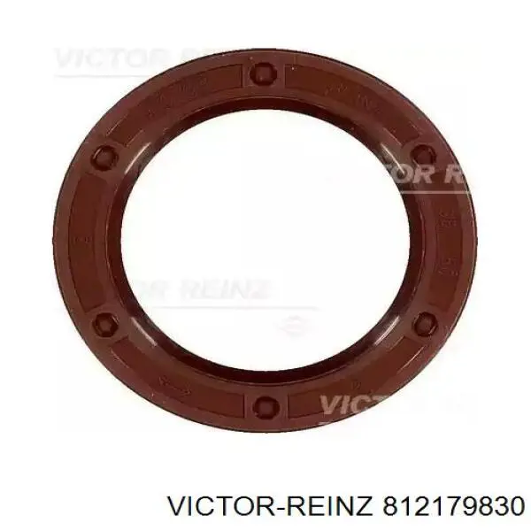 812179830 Victor Reinz Uszczelniacz wałka rozrządu silnika