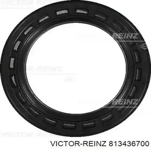 813436700 Victor Reinz Uszczelniacz wałka rozrządu silnika